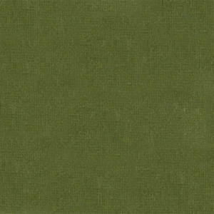 TS428