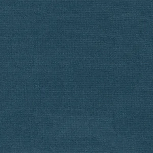 TS419